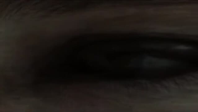 IMAGO (Vídeo-dança)
