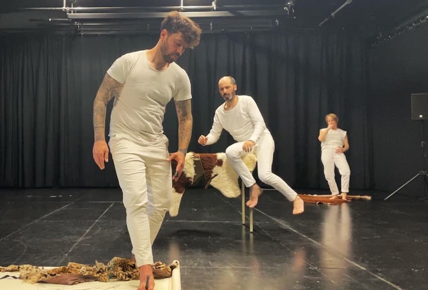 Coleções · Fragmentos