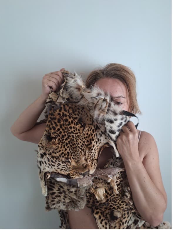 Coleções · Fragmentos