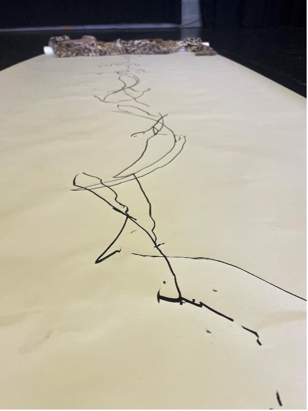 Coleções · Fragmentos