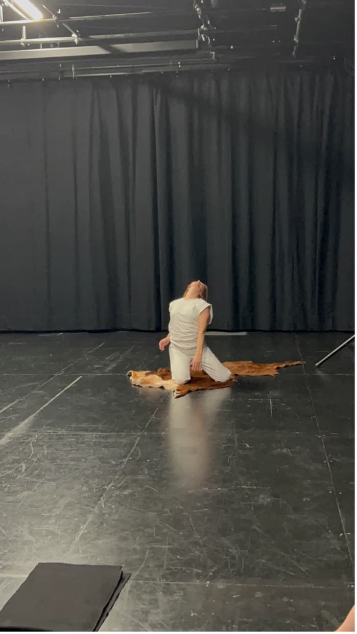 Coleções · Fragmentos