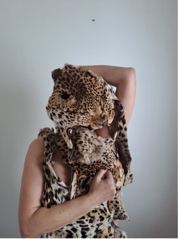 Coleções · Fragmentos